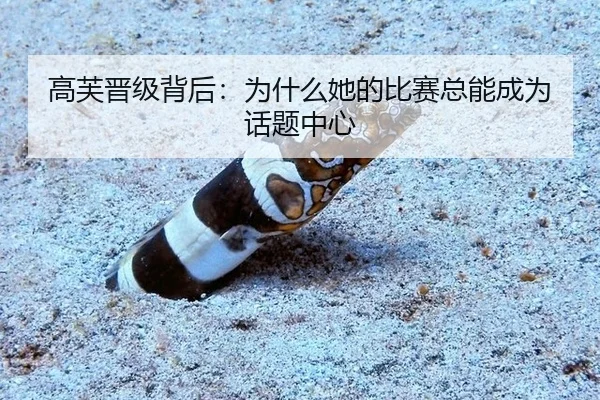 高芙晋级背后：为什么她的比赛总能成为话题中心